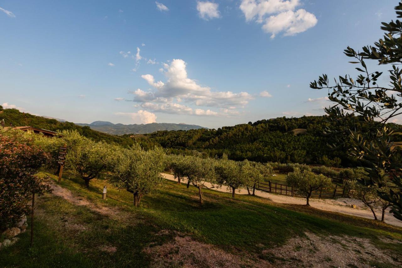 Agriturismo Agrileisuretime Spoleto Bagian luar foto