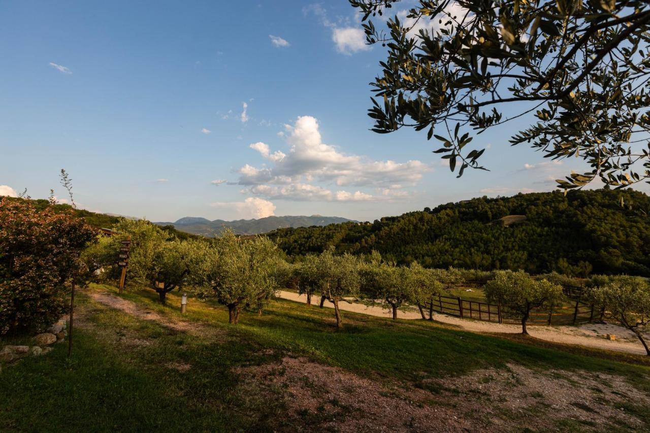 Agriturismo Agrileisuretime Spoleto Bagian luar foto
